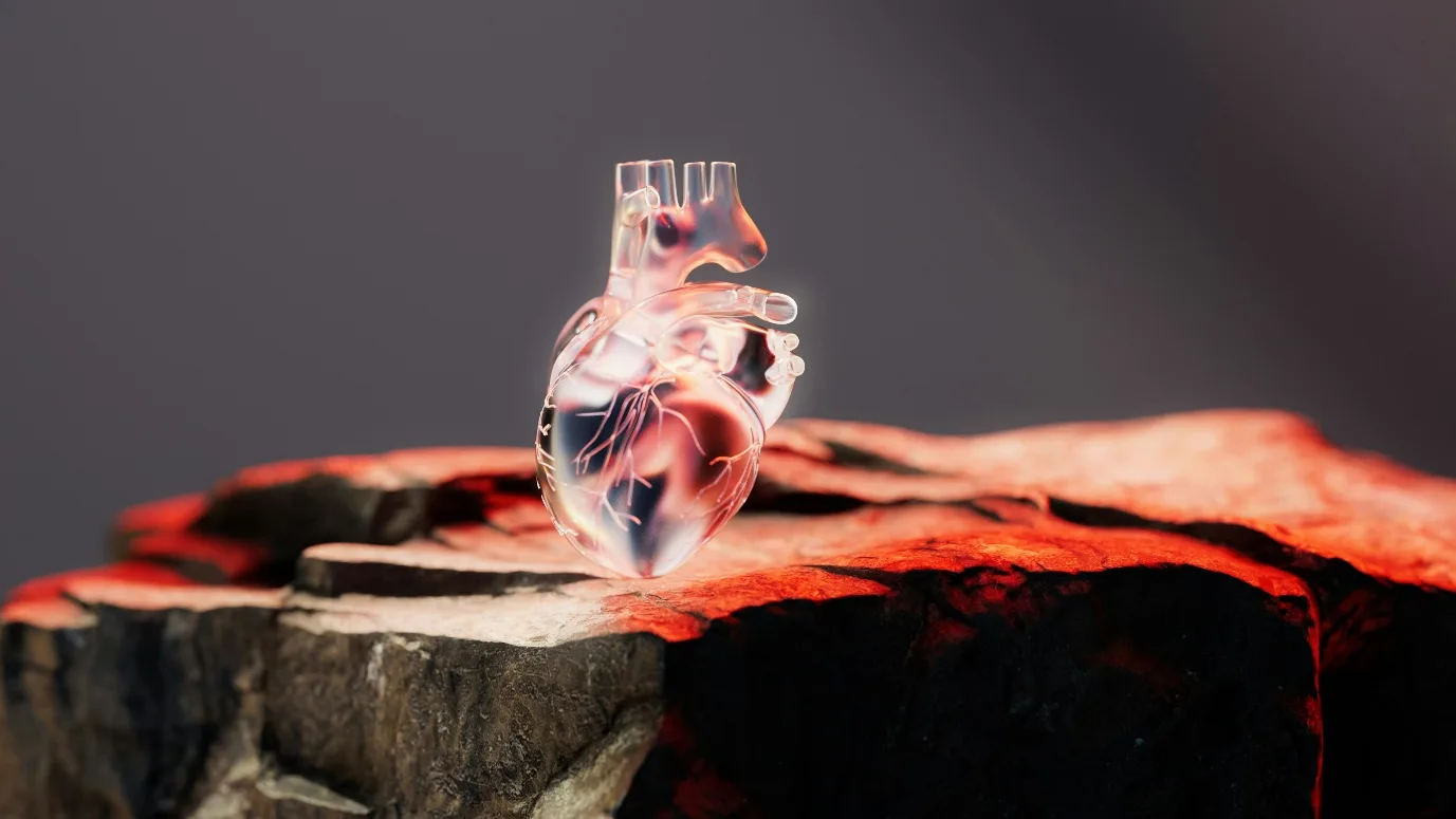 Translucent glass anatomical heart on cracked stone glowing red from within