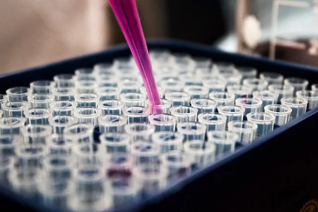 Pink reagent being pipetted into a tray of laboratory test wells